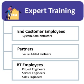 CCNA Enterprise CCNP MCSA MCSE Microsoft online training courses