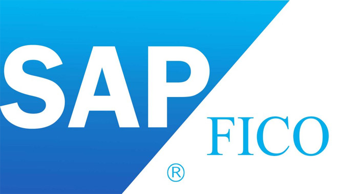 sap fico course